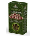 Čaj zelený s echinaceou 70g krab. Grešík